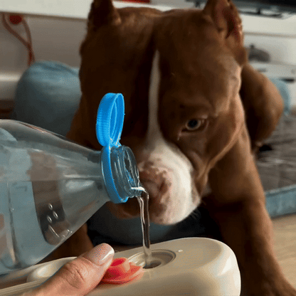 Cepillo 3 en 1 para Perros con Dispensador de Vapor