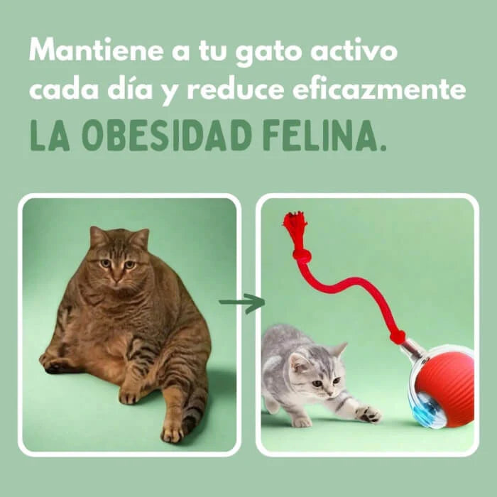 Pelotaviva Interactiva para tu gato