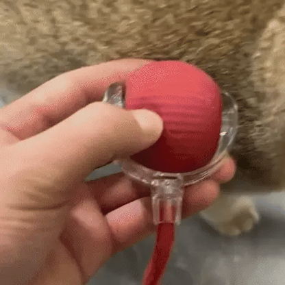 Pelotaviva Interactiva para tu gato